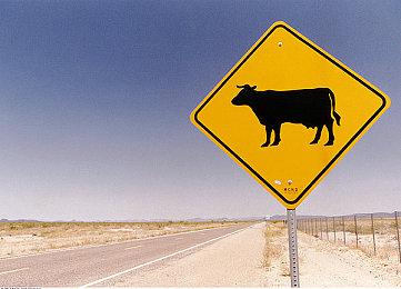 车辆战斗《Rivals Hover League》Steam页面 发售日待定